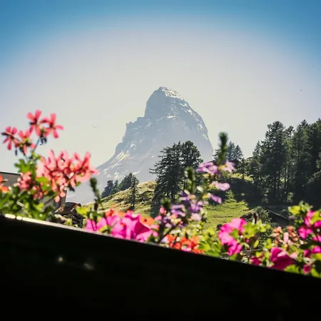 Taugwalder I Monte Rosa